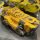 Mastodon Heavy Assault Transport