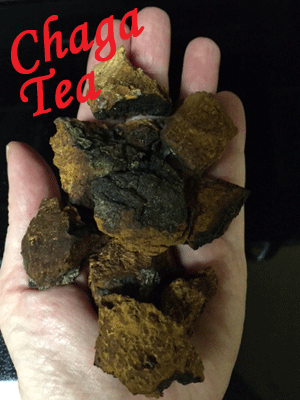 What is Chaga Tea