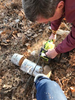 Preparing birch logs for house decorations