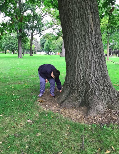 Boy hiding kindness rocks in a park.