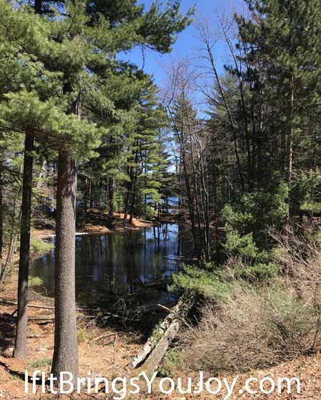 Inlet from lake
