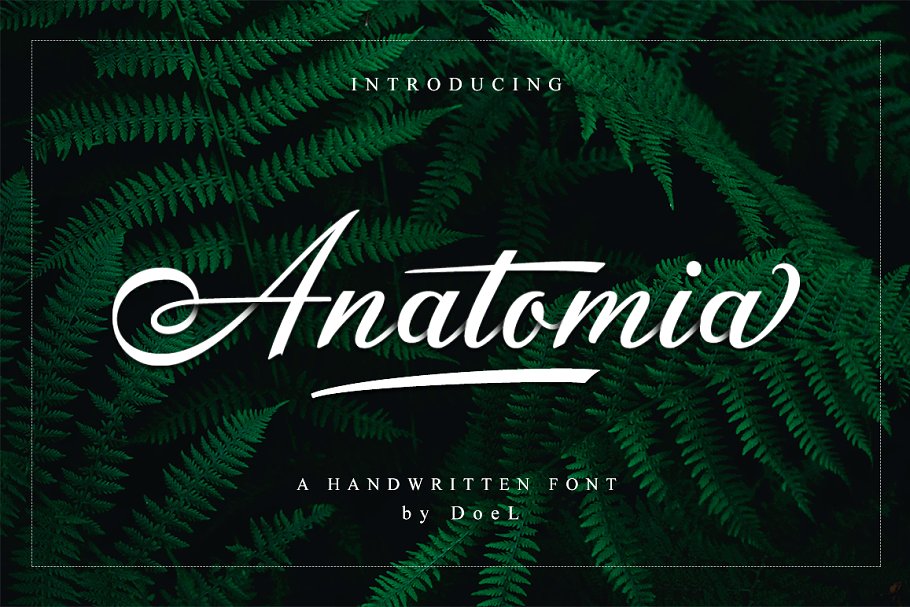 Anatomia Script