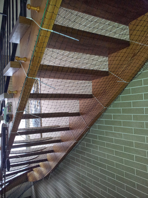 Suche nach einer zeitgemäßen technik um die untersicht einer viertelgewendelten treppe zu verkleiden. Treppe | Ein Hundetagebuch