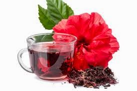 Hibiscus Tea Side Effects Argman13