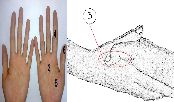 Sangat Ajaib &hellip;.!! Dalam Hitungan Menit Saja, Darah Tinggi Akan Berkurang,  Sakit Kepala Sembuh Sketika, Hanya Dengan Menekan Titik Ini..! | Dinamika  Dakwah Islamiyah 2017