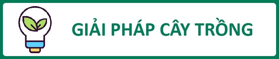 GIAIPHAPCAYTRONG