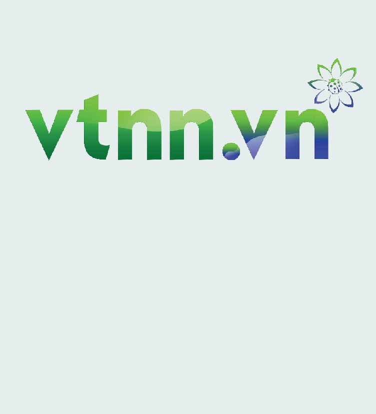 VTNN