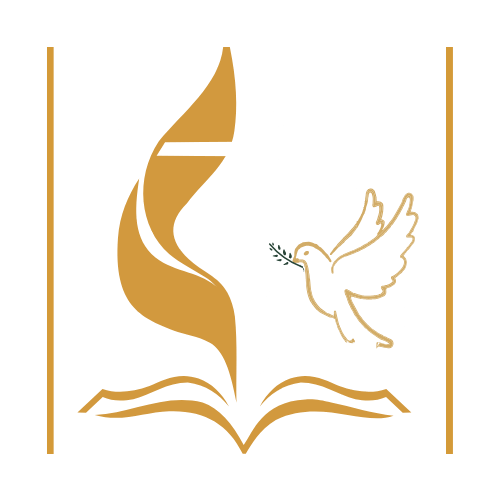 diseno sin titulo 75.webp