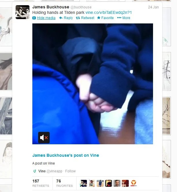 Vine (service)  - how to post videos on twitter