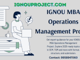 Ignou Mcom Project Topics Mcop 001 Mcop1 Synopsis