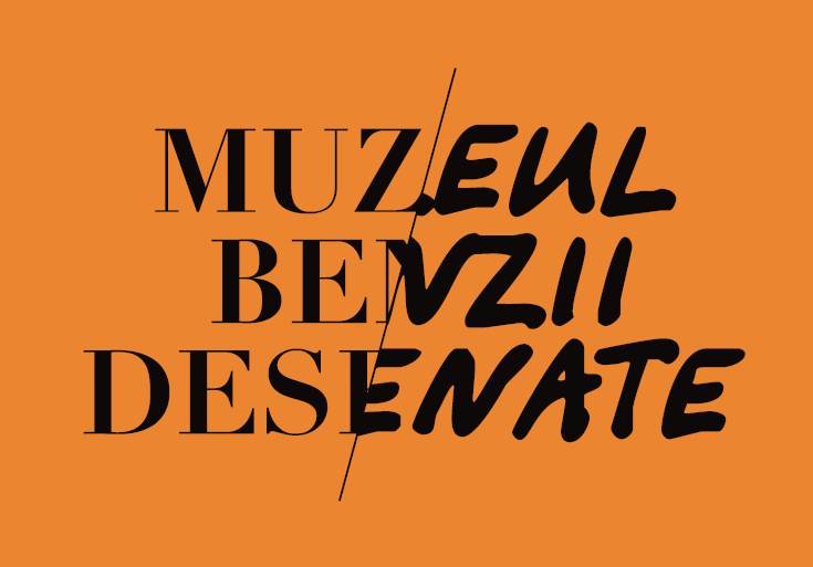 „Funcțiile ilustrației de carte”, excerpt publicat în „Muzeul Benzii Desenate”, Catalog, Concept de Alexandru Ciubotariu, Coordonator: Tudorița Șoldănescu, ediție broșată, Editura ICR, MNAC, [București], 64 p.;