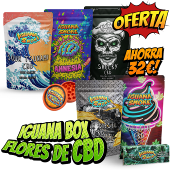 embalagem flores cbd caixa iguana