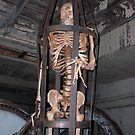 Skelington by iagomega