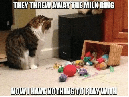 Sourced from reddit, twitter, and beyond! 17 Reasons Itâs Easier to Have Cats Than Kids | I Have Cat