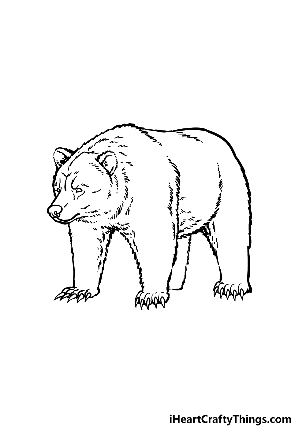 Draw the other half of the body. Grizzly Bear Drawing How To Draw A Grizzly Bear Step By Step