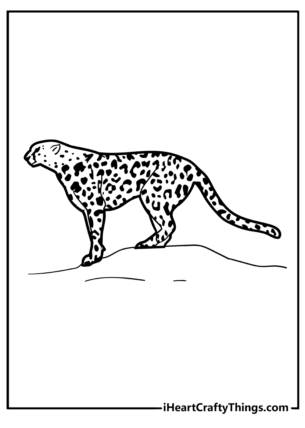 Beautiful cheetah free coloring page for kids . Printable Cheetah Coloring Pages Updated 2022