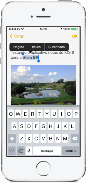 Notes App iOS 8