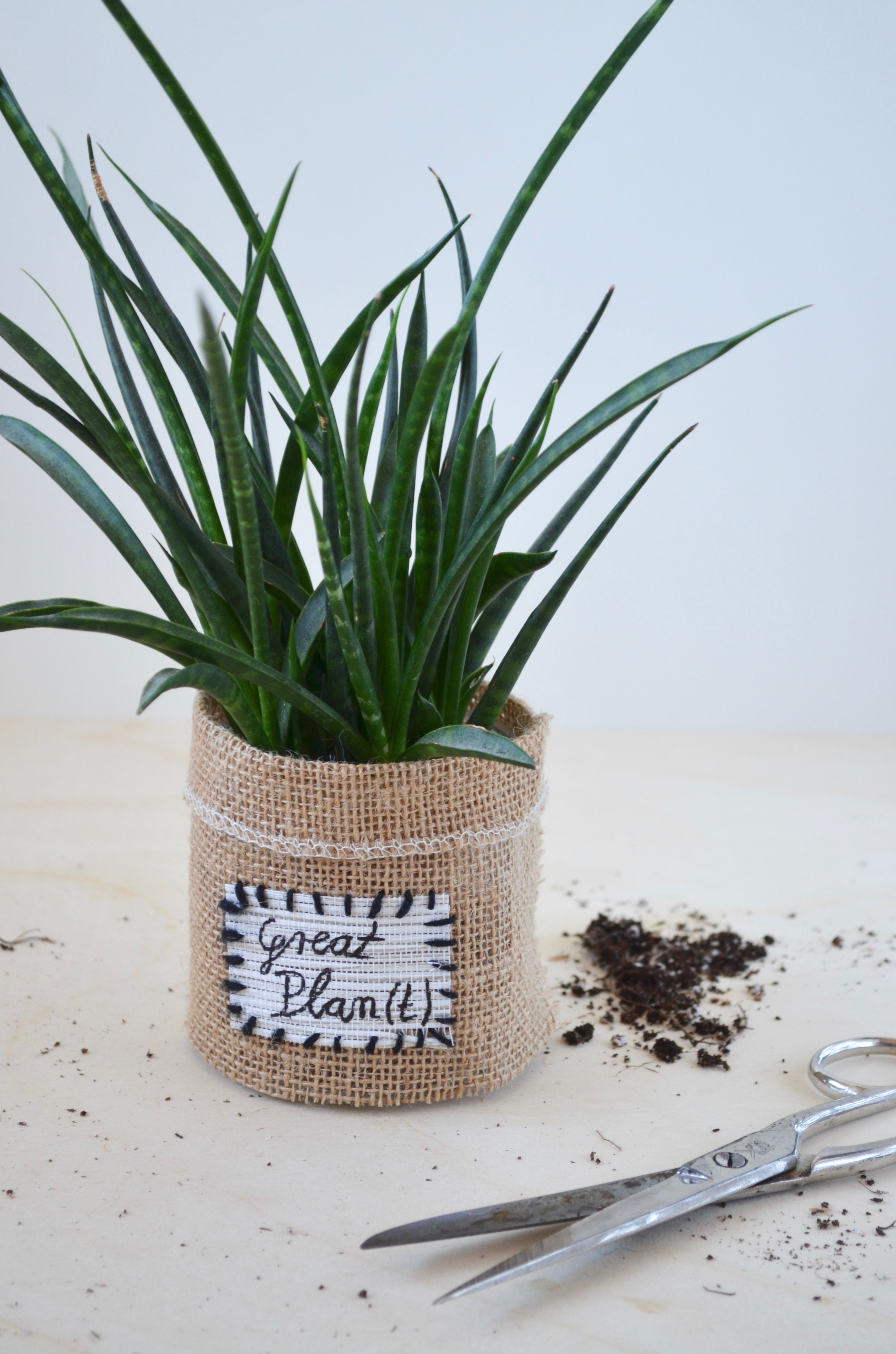 Upcycling-Projekte mit und für Pflanzen – Teil 2 – Ihrsinn