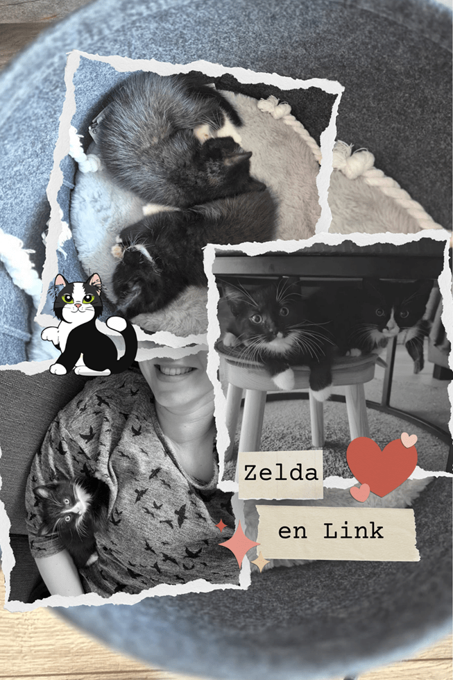 Life Lately ~ Kitten update