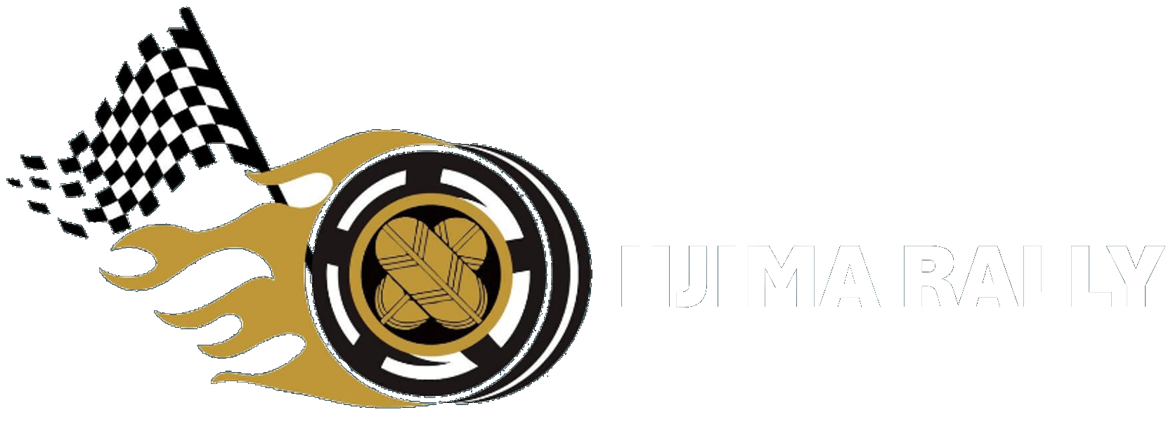 IIJIMA RALLY