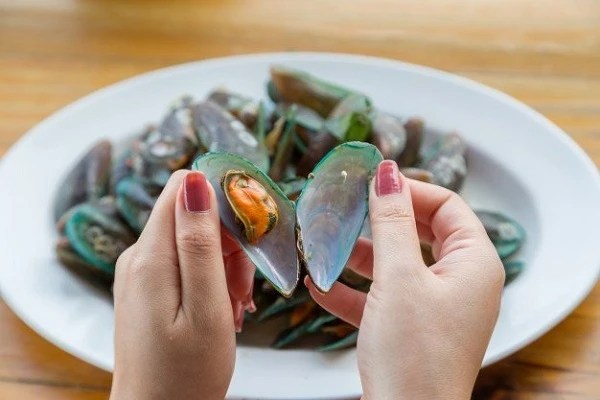 Manfaat Kerang Hijau Selain Kaya Akan Nutrisi Aman Dikonsumsi