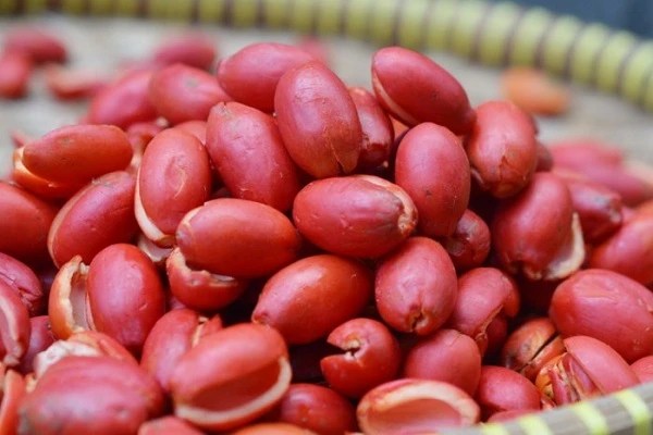 Manfaat Kulit Melinjo dan Kandungan Baik di Dalamnya