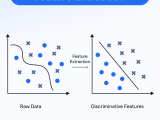 Feature Extraction Techniques Workings Role