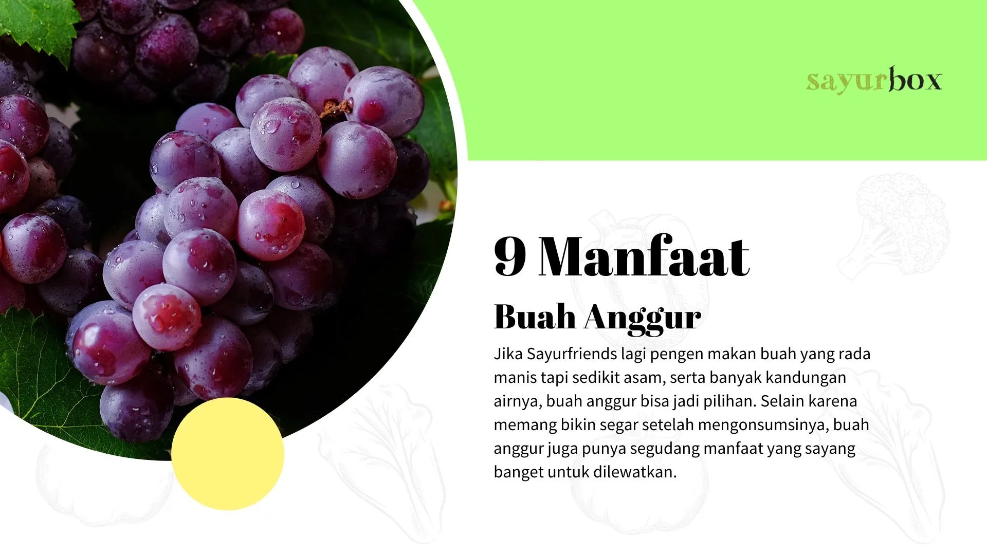 Manfaat Anggur Merah Untuk Kolesterol: Kontrol Kolesterol Dengan Buah Anggur