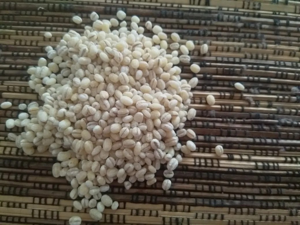 Milenial Wajib Tahu, Manfaat Luar Biasa dari Biji Jali Jali