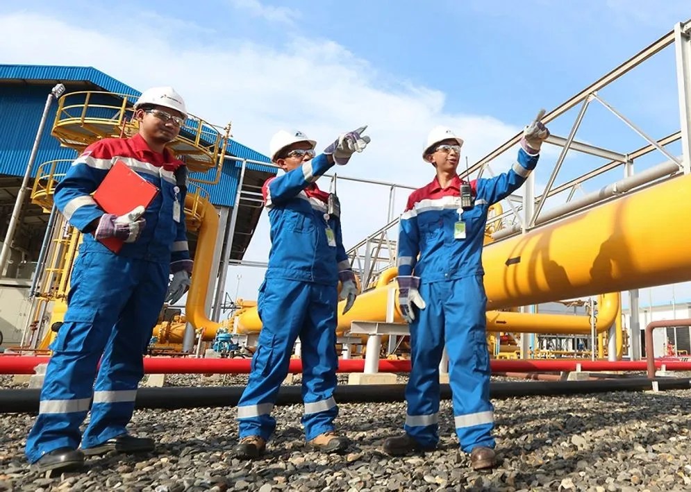Bersedia ditempatkan di seluruh wilayah kerja pt kilang pertamina internasional (pt kpi) dan pertamina group. Lowongan Kerja Pt Pertamina Untuk Fresh Graduate Cek Syarat Dan Posisi Yang Dibutuhkan Kabarminang Id