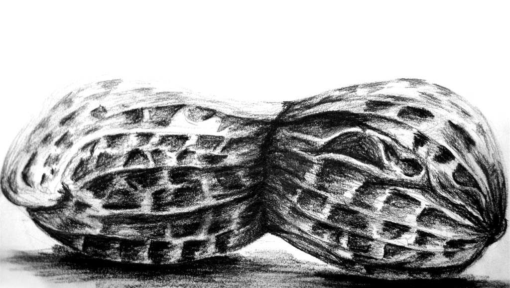 Erdnuss Geldborse Erdnuss Tasche Erdnuss Handtasche Erdnusse Etsy