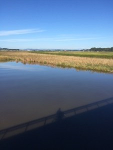 涸沼自然公園の全体概要