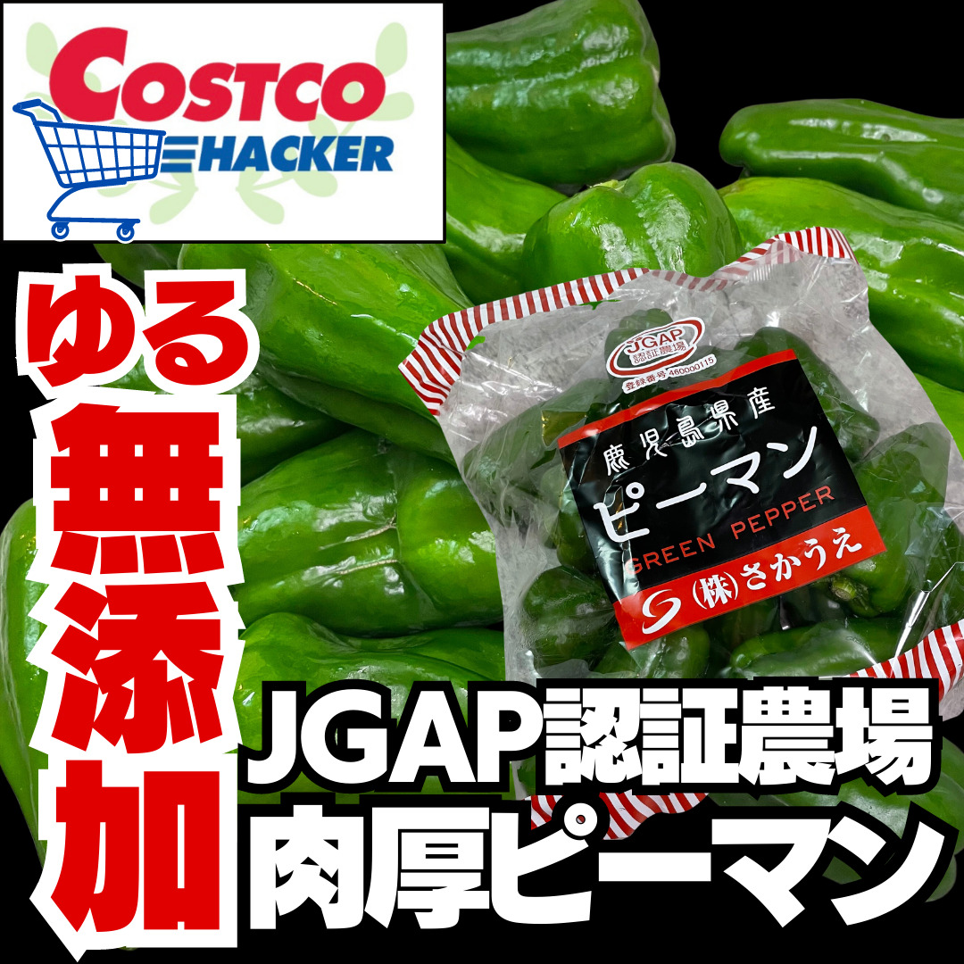 コスパ最強！コストコのピーマン458円で大量GET！