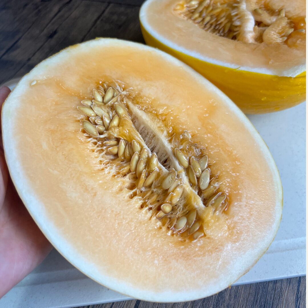 コストコ】オーストラリア産オレンジシュガーメロン¥899#21004