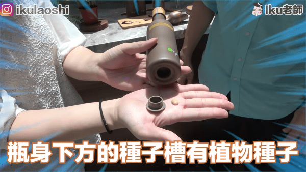 歐萊德瓶中樹-植物種子