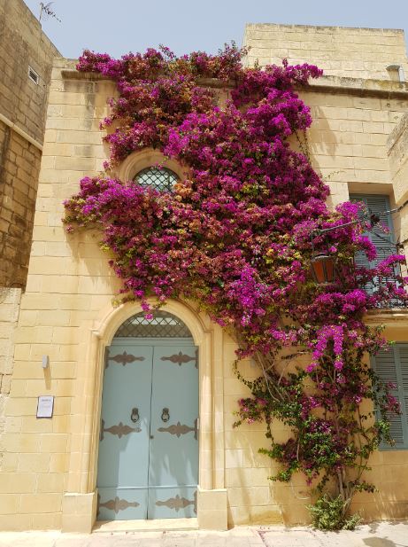 Mdina