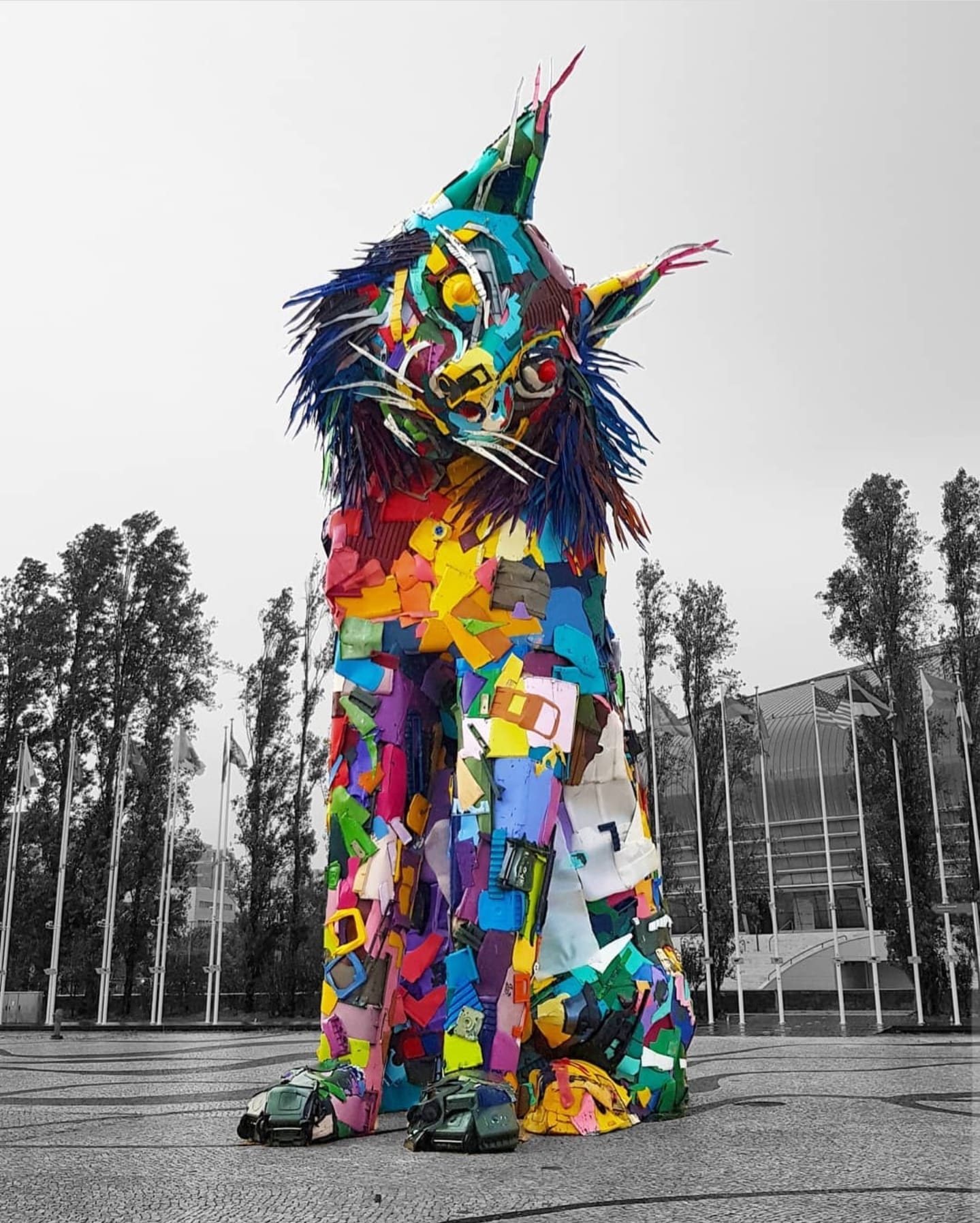 Lince - Bordalo II