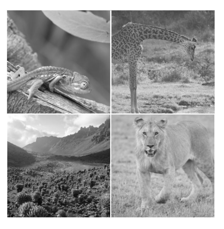 Pdf Adaptive Learning Based Compressive Sampling For Low Power - Best Ocean Patterns in Full HD