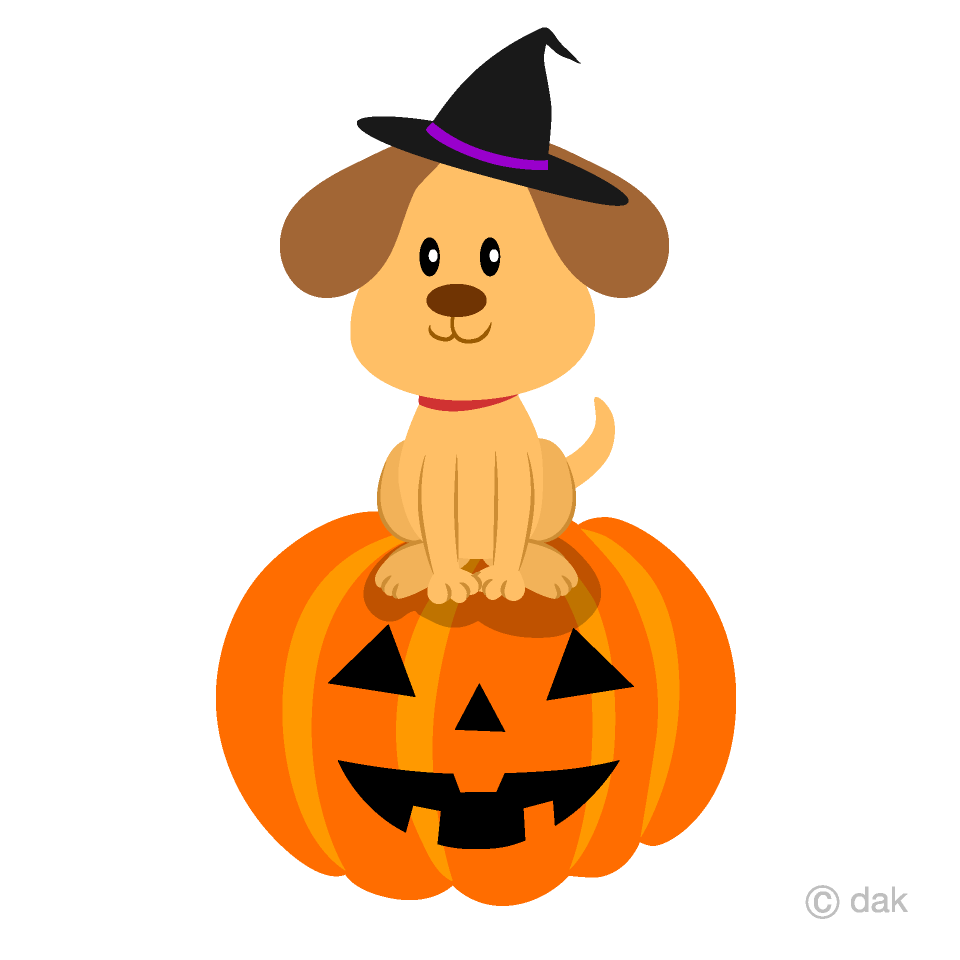 One halloween dog poodle clipart png. Dog Halloween Pumpkin Clip Art Free Png Image Illustoon