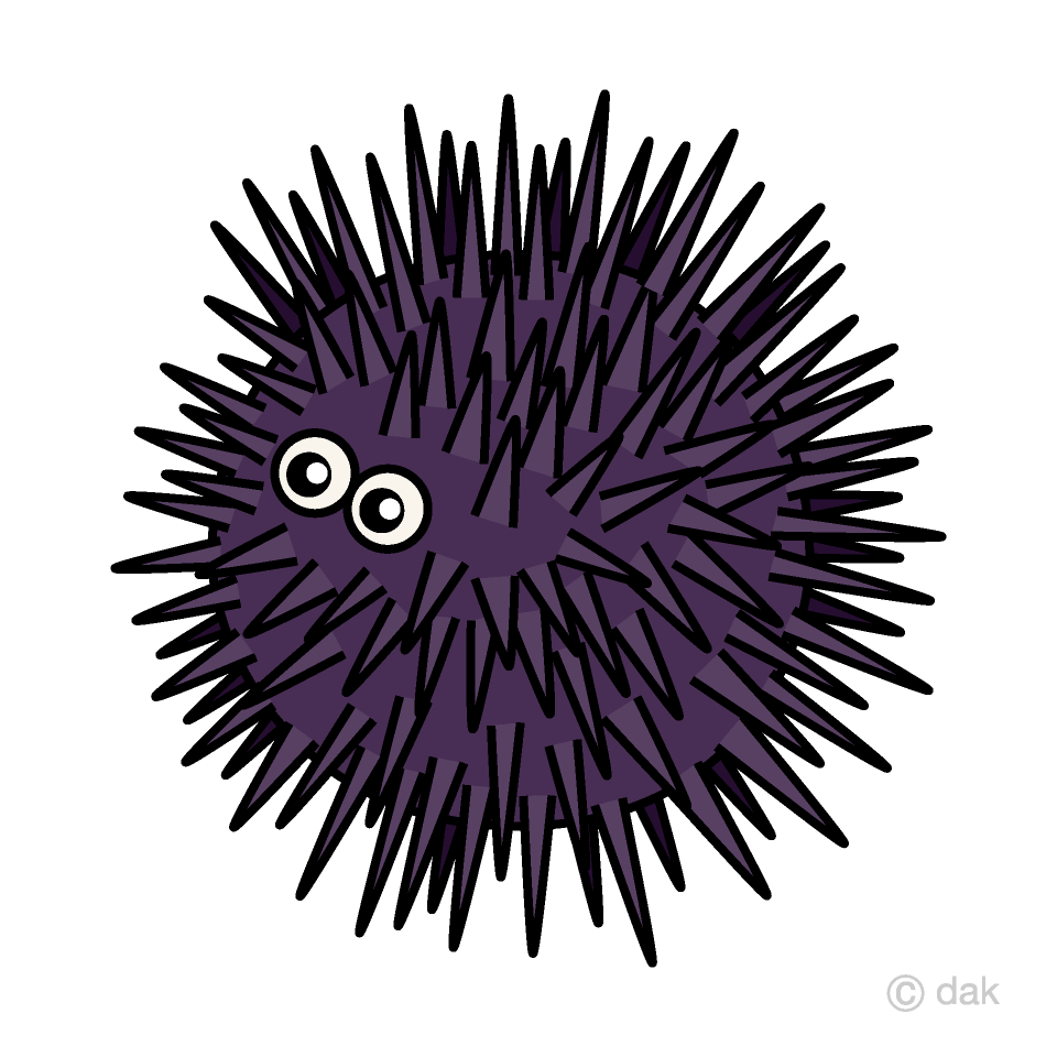 Are you searching for sea urchin cartoon png images or vector? Sea Urchin Clip Art Free Png Image Illustoon