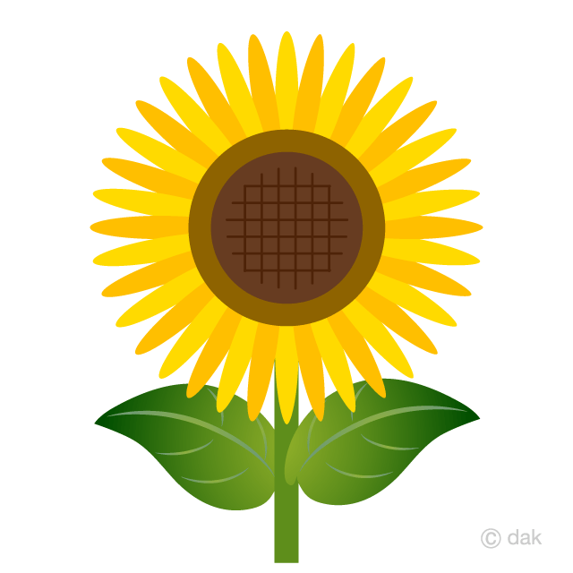 Girasol Disenado Simplemente Gratis Dibujos Animados Imagene Illustoon Es