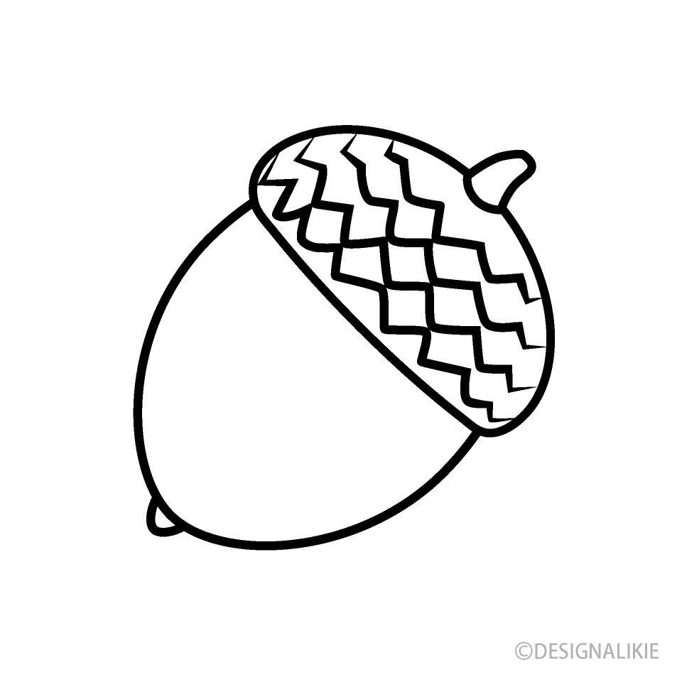 Acorn Black And White Clip Art Free Png Image Illustoon