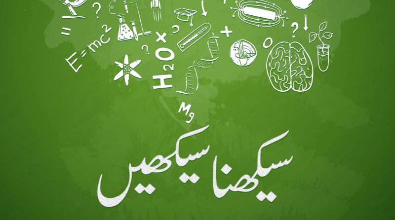 Knowledge Platform On Linkedin Knowledgeplatform 5e Lums Ilmx Teacher - Ultra HD City Illustration - Full HD