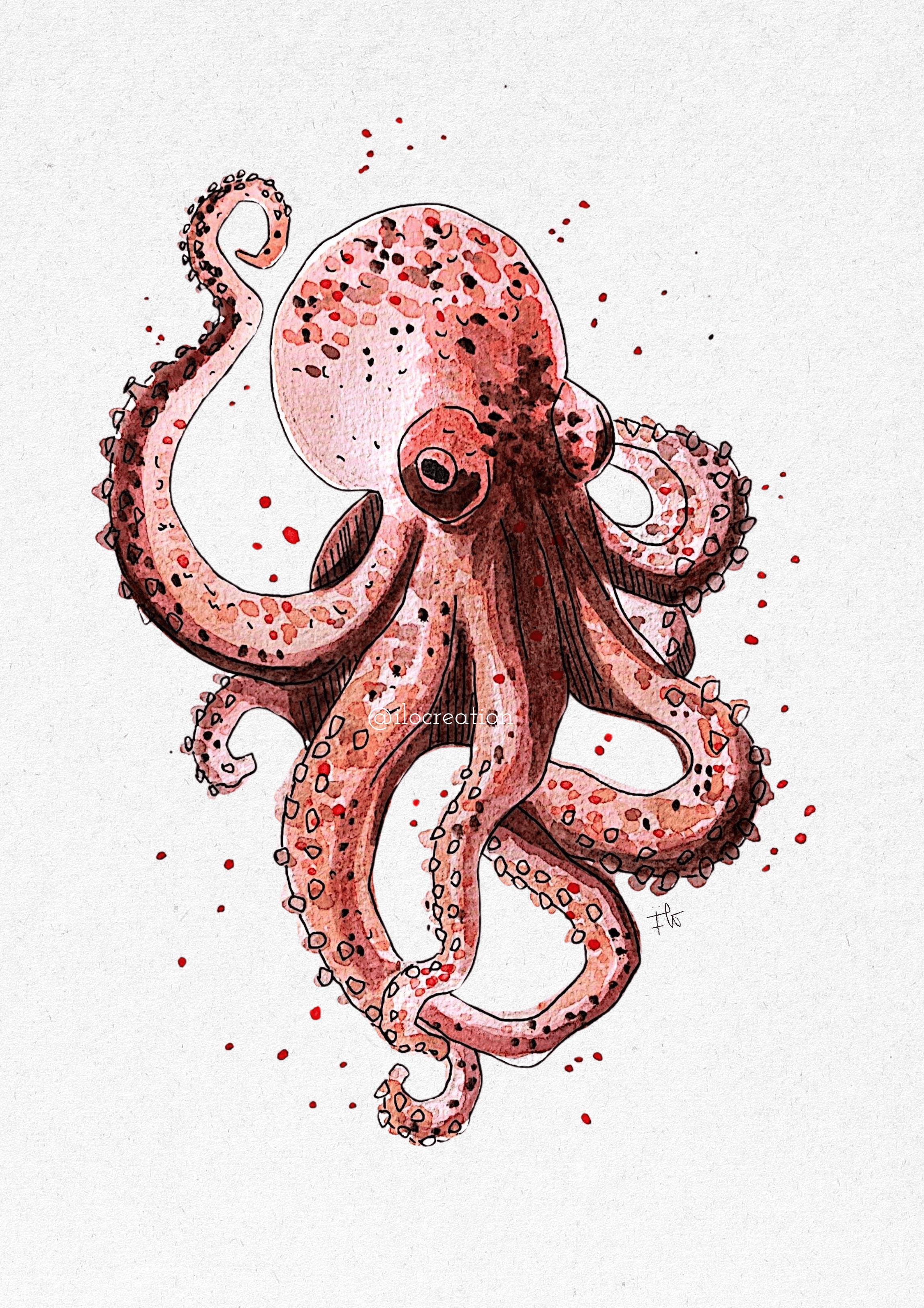 Pulpo