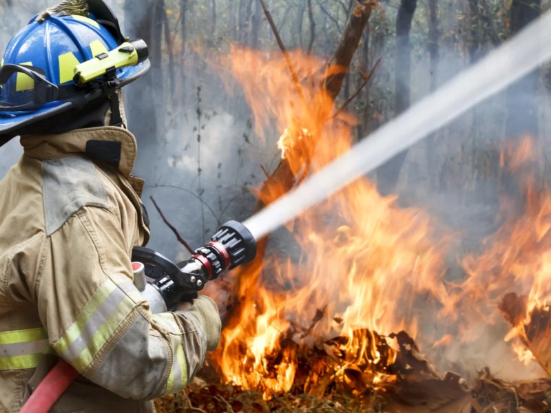 King County News: Three strike teams of firefighters from King County are heading to California this morning to help fight the wildfires in northern California.