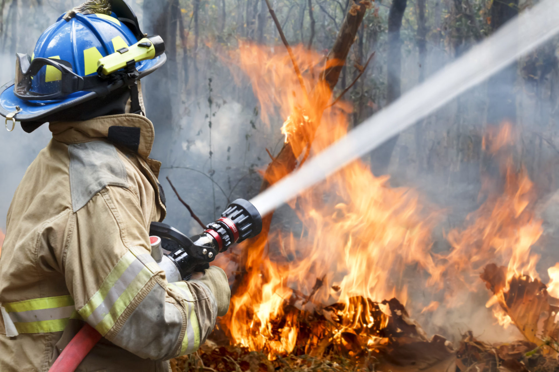 King County News: Three strike teams of firefighters from King County are heading to California this morning to help fight the wildfires in northern California.