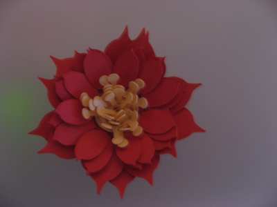 IMG_5285_resize