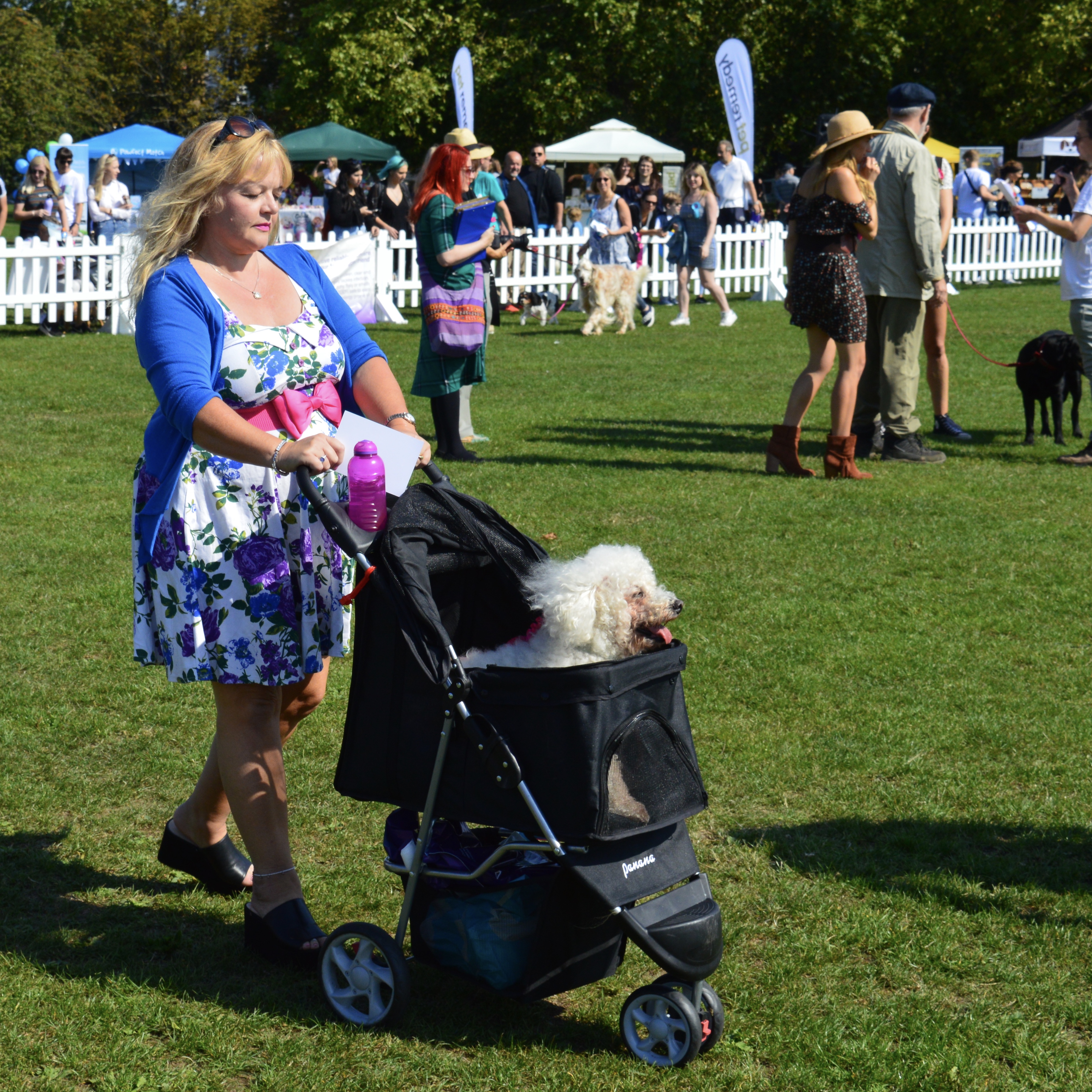 A GOLDEN OLDIES ENTRANT