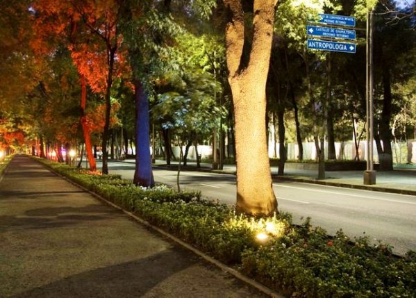 Paseo de la Reforma DF