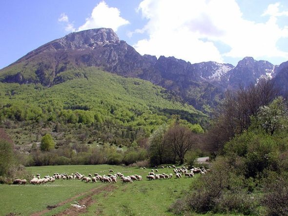 Bing Images L'Aquilla 2 Flock of sheep L'Aquilla, Italy - Roccaraso, Italy